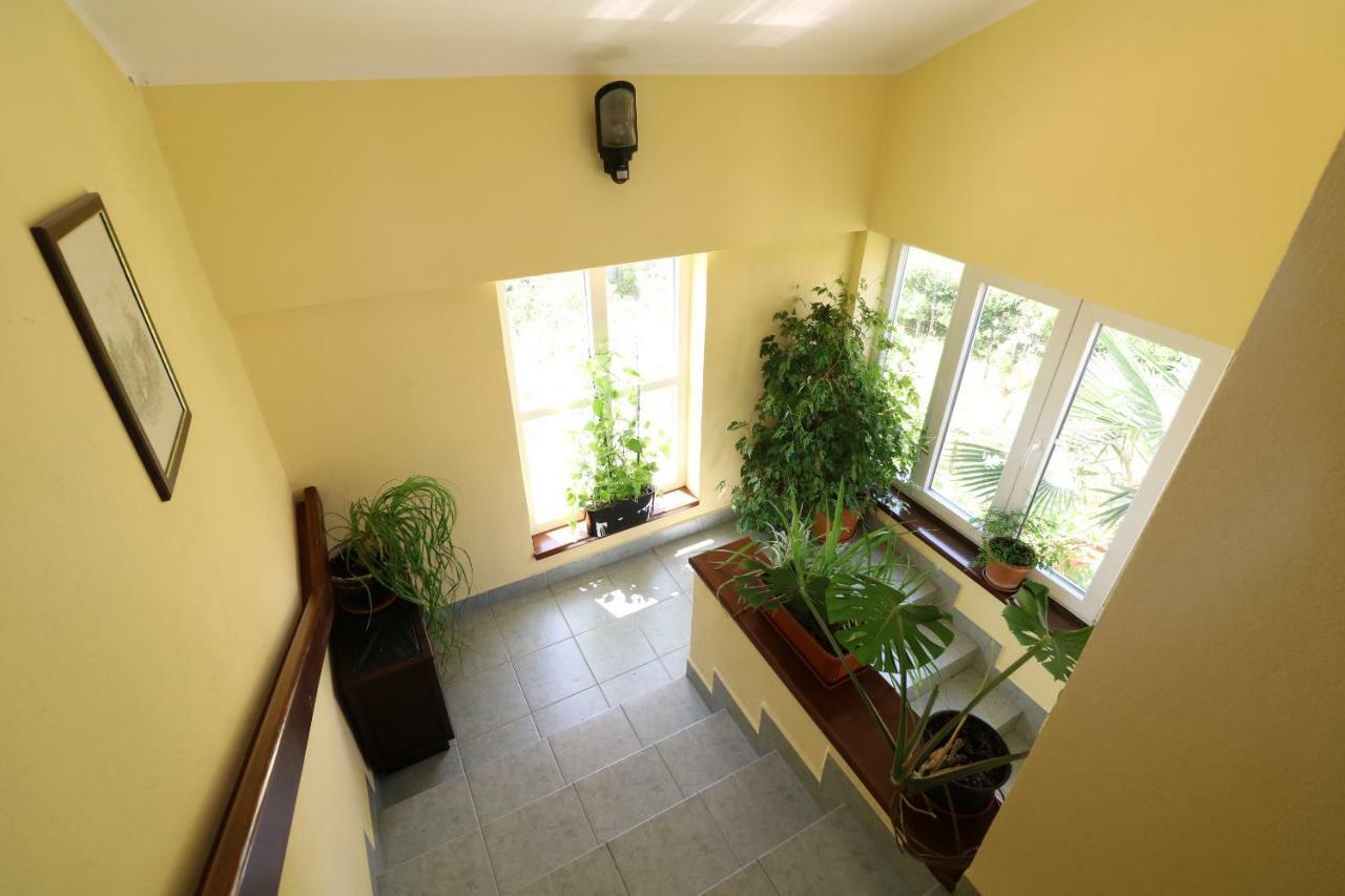 Apartments & Room Jagoda 바슈카 객실 사진